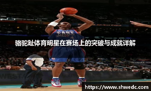 米兰体育官网
