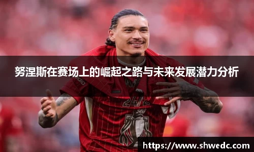 努涅斯在赛场上的崛起之路与未来发展潜力分析