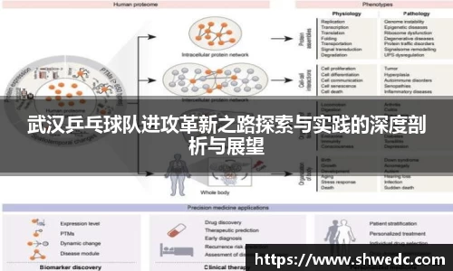 武汉乒乓球队进攻革新之路探索与实践的深度剖析与展望
